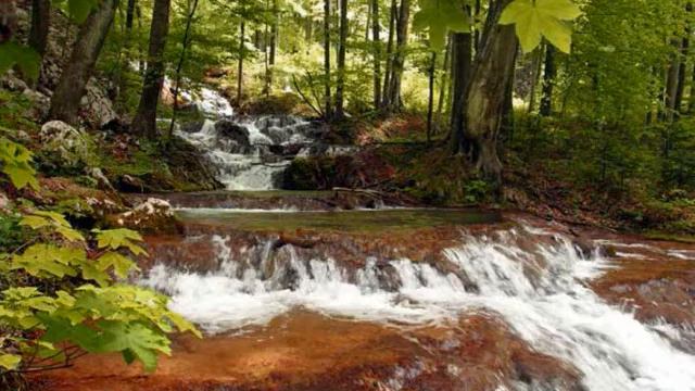 Gheorghe Zamfir Live Concert in USA December, 2009 - Romanian Best Songs 2009 смотреть онлайн