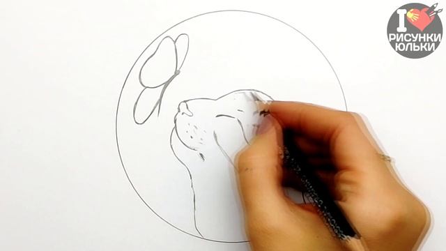 Скетч карандашом | Как нарисовать Кота с Бабочкой | Рисунки Юльки для скетчбука
