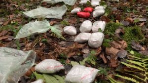 23-летний наркокурьер задержан в Подмосковье