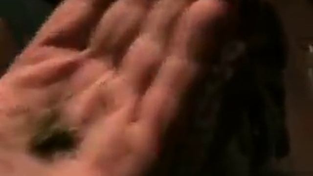 Stevia смотреть онлайн