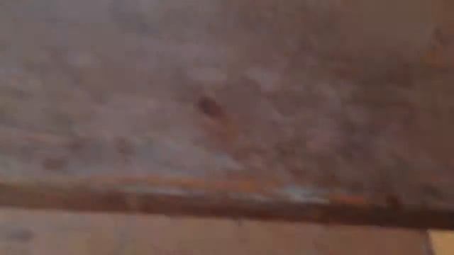 Какие хостелы в Адыгее смотреть онлайн