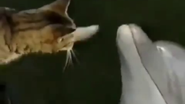 Давай дружить! смотреть онлайн