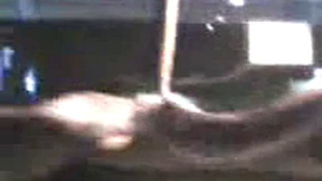 SV A0008 смотреть онлайн