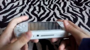 Обзор PSP E 1008