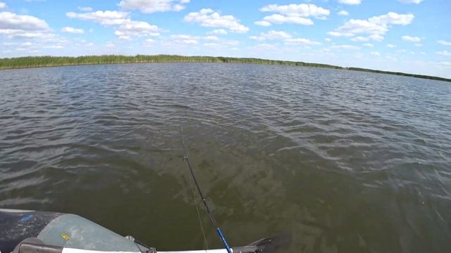 ЩУКИ И ОКУНИ СОЛДАТСКОГО ОЗЕРА ЖАДНО ГЛОТАЛИ НАШИ ПРИМАНКИ! РАБОТАЛО ВСЁ, ЖЕЛЕЗО, ВОБЛЕРА! КАЗАХСТА смотреть онлайн