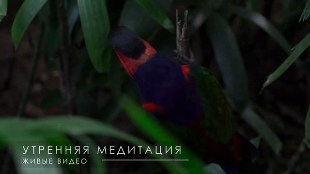 Утренняя медитация благодарность себе - Удели себе время на восстановление