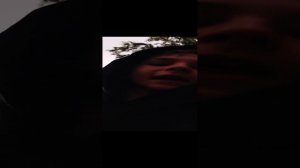 что тут в лесу 🤔