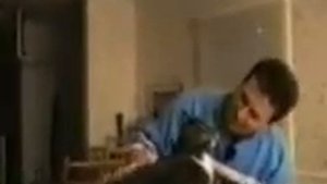 Поющие коты