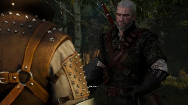 Witcher 3: HOW TO FIND the Dwarves who Stole Your Boat and Met Gaunter O'Dimm смотреть онлайн