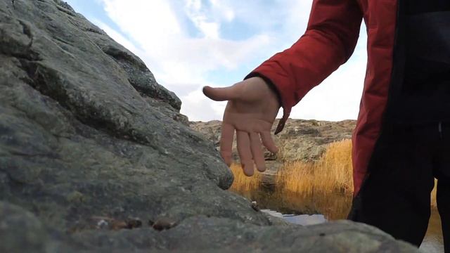 Первая |рыбалка на удочку| за год! #дынькович #казахстан смотреть онлайн