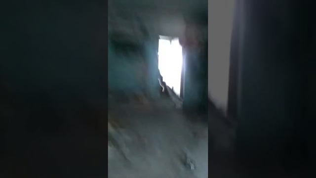 Заброшенное общежитие смотреть онлайн