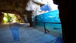 Милана и Даня в биопарке в Валенсии Как живут Животные здесь1