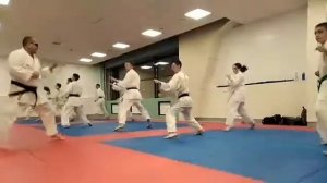 Каратэ-до Сито-рю Новосибирск