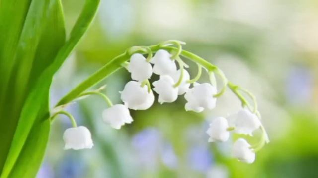 33. Уже 5 лет назад погибли ее муж и дочка. Истории из жизни. Женские истории.