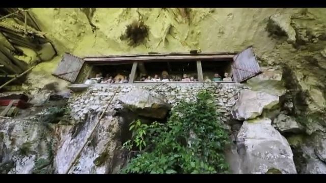 Индонезия. Остров Сулавеси. Анонс 5 серии | Мир Наизнанку - 5 сезон смотреть онлайн