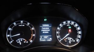 Блютус Шкода Октавия А5 FL