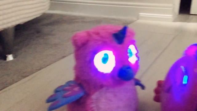 Hatchimal vs furby смотреть онлайн