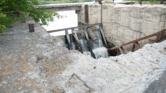 Купальный сезон.  Карпова плотина