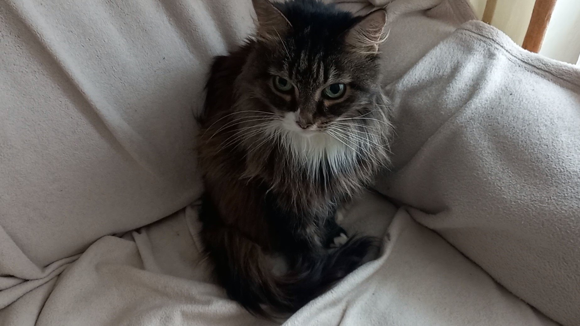 А ДУСЕ ТОЛЬКО 18 ЛЕТ... смотреть онлайн