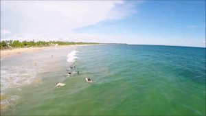 Coral Rock by Bansei