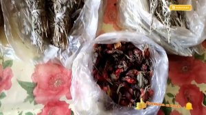 Полезные Травы для Здоровья.