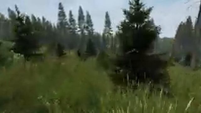 ЛЕТО. ЧЕРНО. ДВА СТВОЛА|DayZ смотреть онлайн