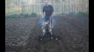 мотоблок с двигателем восхода 3м.