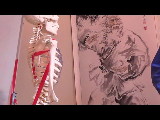 Семинар остеопатия МИОФАСЦИАЛЬНЫЕ ЦЕПИ МФЦ_40 смотреть онлайн