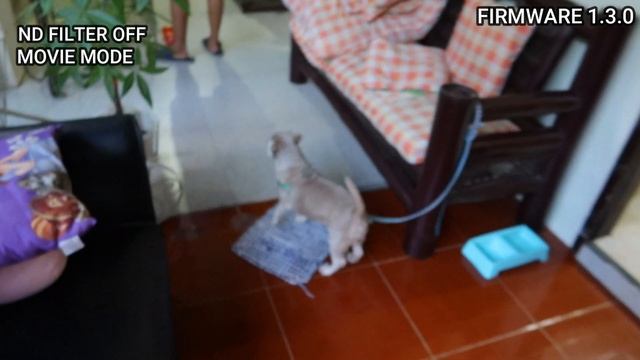 INITIAL REVIEW CANON G7X MARK III FIRMWARE UPDATE 1.3.0 | AUTO FOCUS ISSUE FIXED! смотреть онлайн