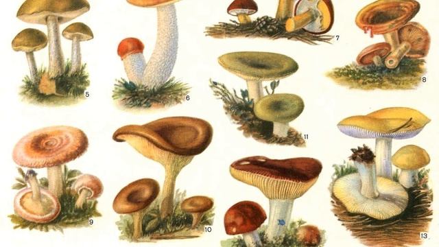 ТОП 4 бизнес идеи осени 2018 смотреть онлайн