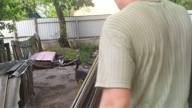 Спешу к бабушке на помощь?#помощь#семья #добро смотреть онлайн