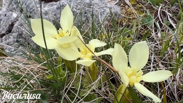 9 июня народный праздник Федорин день. Что нельзя делать. Народные традиции и приметы и суеверия.