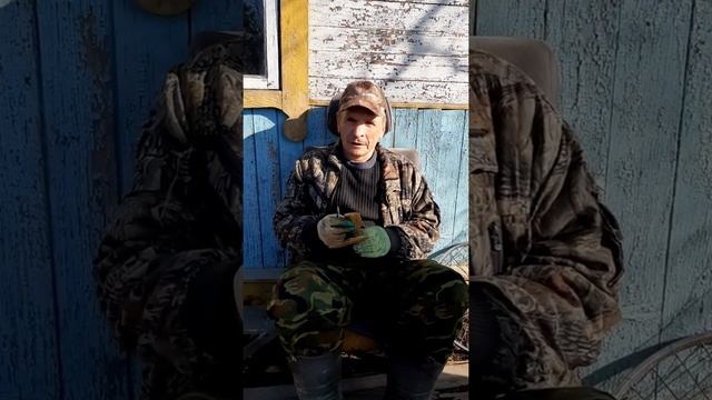 Как обезжирить борсука или енота