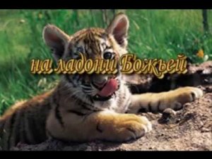 На ладони Божьей