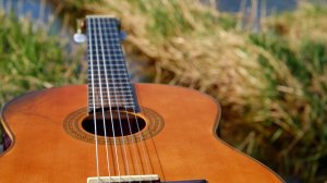 Ю. Зырянов "Полька"