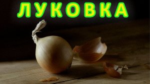 "Притча о луковке" из романа " Братья Карамазовы" Ф.М. Достоевский