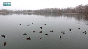 Работы по расчистке озера завершили в Светлоярском парке