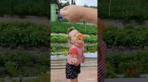 КВЕСТ ПОИСКИ СОКРОВИЩ. Развлекает детей на даче.
