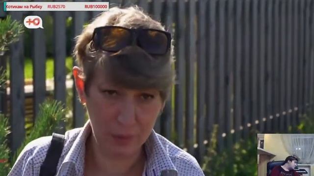 НЕМНОЖКО РАЗВЕДЕНЫ | ТИГРИЦА |