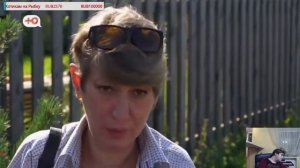 НЕМНОЖКО РАЗВЕДЕНЫ | ТИГРИЦА |