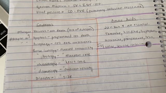 REVIEWING 8 NOTE-TAKING METHODS || pros and cons (cornell, mind map, etc) смотреть онлайн