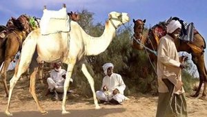 КАРАВАН музыка инструментальная Караван автор клипа Зоя Боур-Москаленко