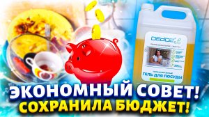 Сэкономила кучу денег на средстве для мытья посуды. Покажу свою находку в интернете.
