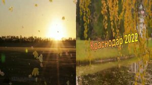 Охота по фазану и зайцу с курцхаарами.  Краснодар 2022