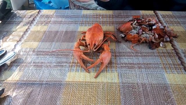 Ем раков смотреть онлайн