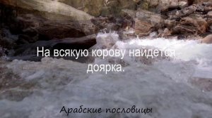 30 Мудрых Арабских Пословиц и Афоризмов. Арабская Мудрость накопленная веками. Цитаты и Мудрые мысл