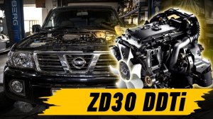Легендарный Patrol Y61 ZD30DDTI капиталка или контрактник???