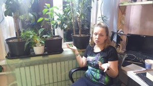 Утепление подоконника. Подготовка подоконников к зимнему периоду для растений.