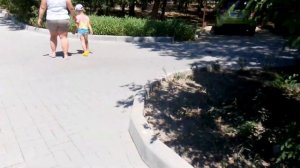 Творческая волна пансионат