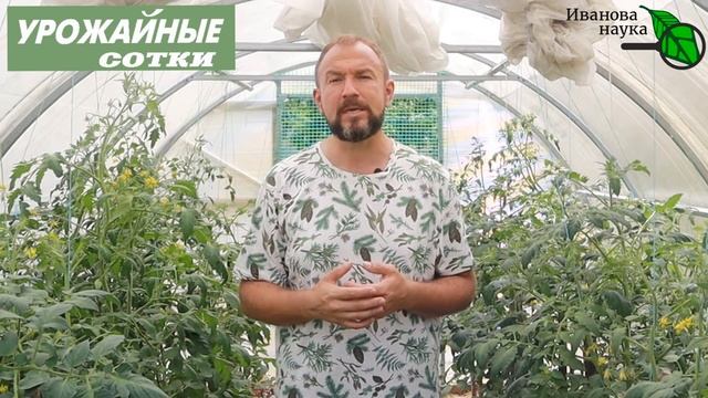 ОЧЕНЬ ЭФФЕКТИВНЫЕ ПОДКОРМКИ. Внекорневые подкормки: эффективно, экономно, легко!